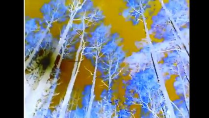 Baby Van Gogh in G Major [Part 1]