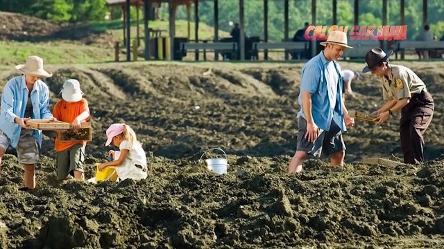 HOKI BUKAN MAIN..!! Inilah 10 Penemuan Harta Karun Tanpa Sengaja yang Menghebohkan Dunia!