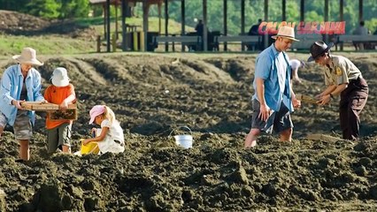 HOKI BUKAN MAIN..!! Inilah 10 Penemuan Harta Karun Tanpa Sengaja yang Menghebohkan Dunia!