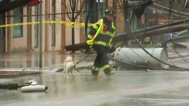 미 동부 겨울 폭풍 강타...120만 가구 정전·사망자 속출 / YTN