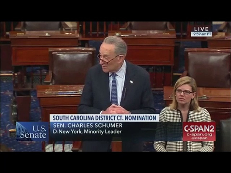 Chuck Schumer Anti-White  Racist