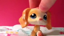All of my LPS Cocker Spaniels!!!