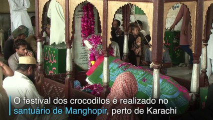 Adoração a crocodilos no Paquistão