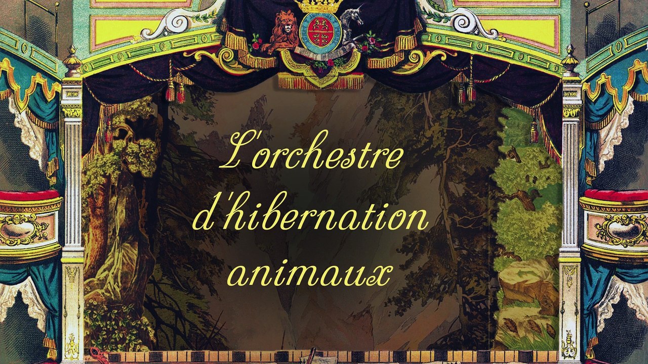 L’orchestre D’hibernation Animaux - How Animals Hibernate ]