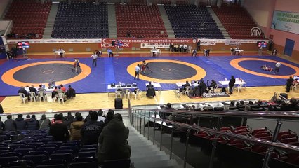 Kardeşler minderde rakip oldu - ORDU