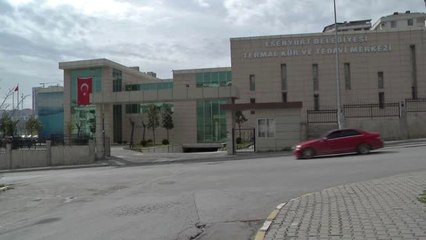 Sokak Köpekleri Kaplıcada Yıkandı, Bakımları Yapıldı 1-