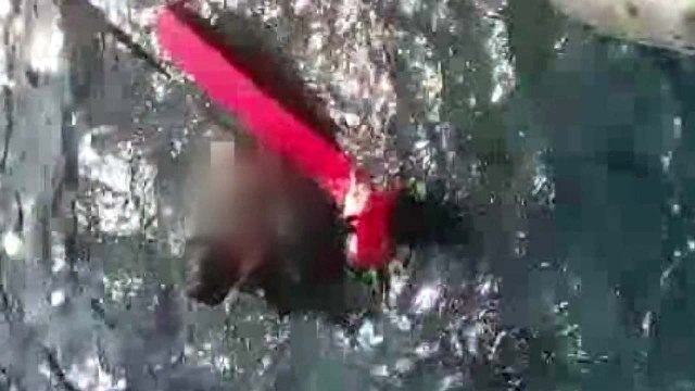 포항 구룡포항 바다에 빠진 50대 행락객 해경에 구조 / YTN