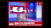 Vijay Mallya Tweets First Time After Arrest, Blames Media