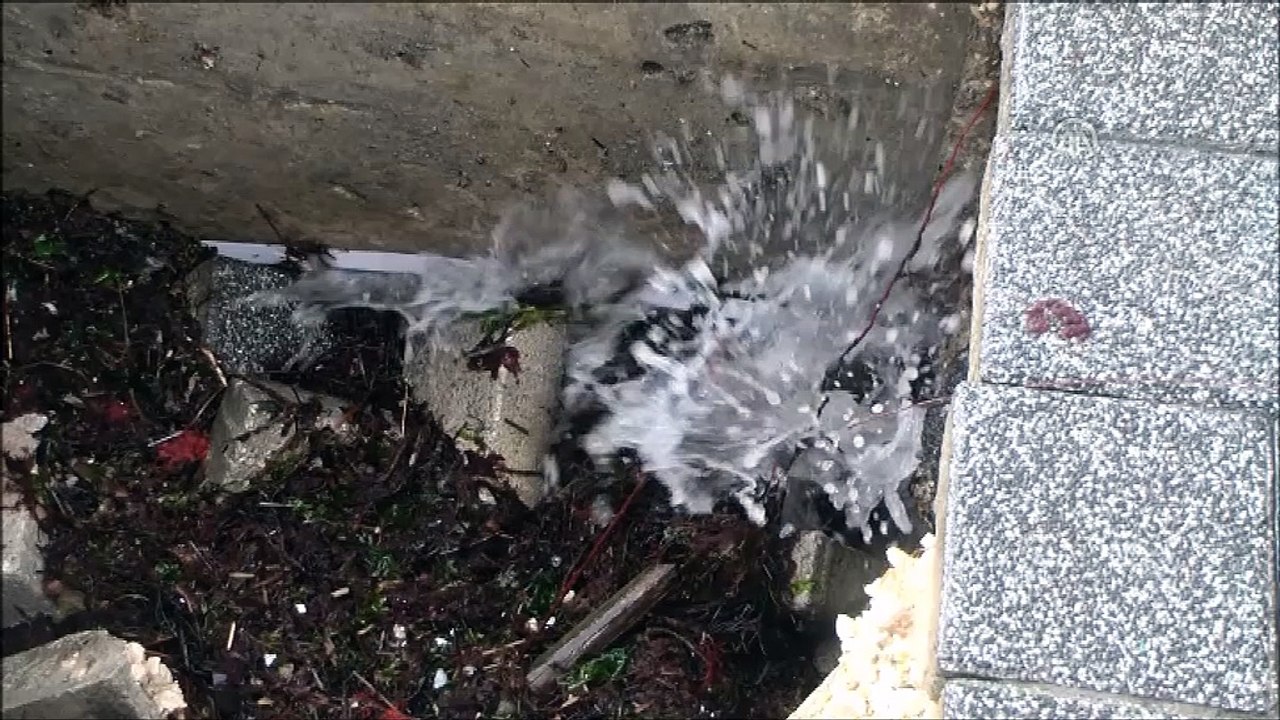 Silivri'de lodos - İSTANBUL