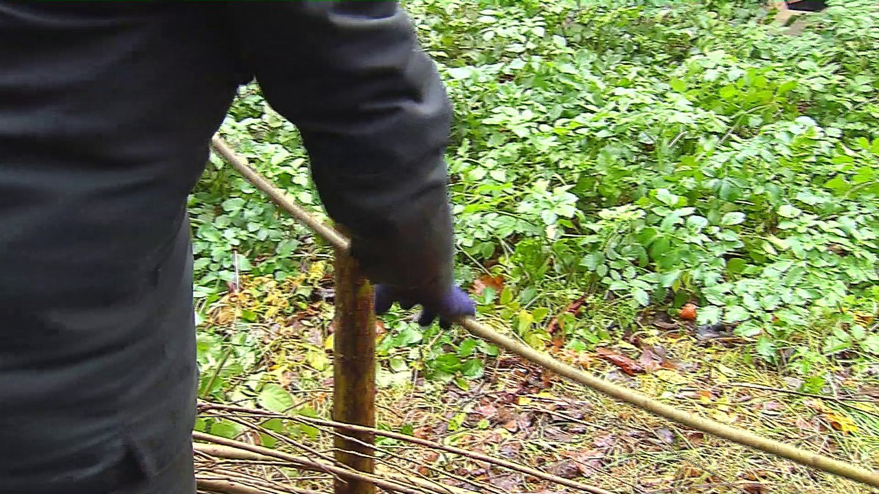 La Petite Ceinture : un petit coin de paradis dans la ville ?