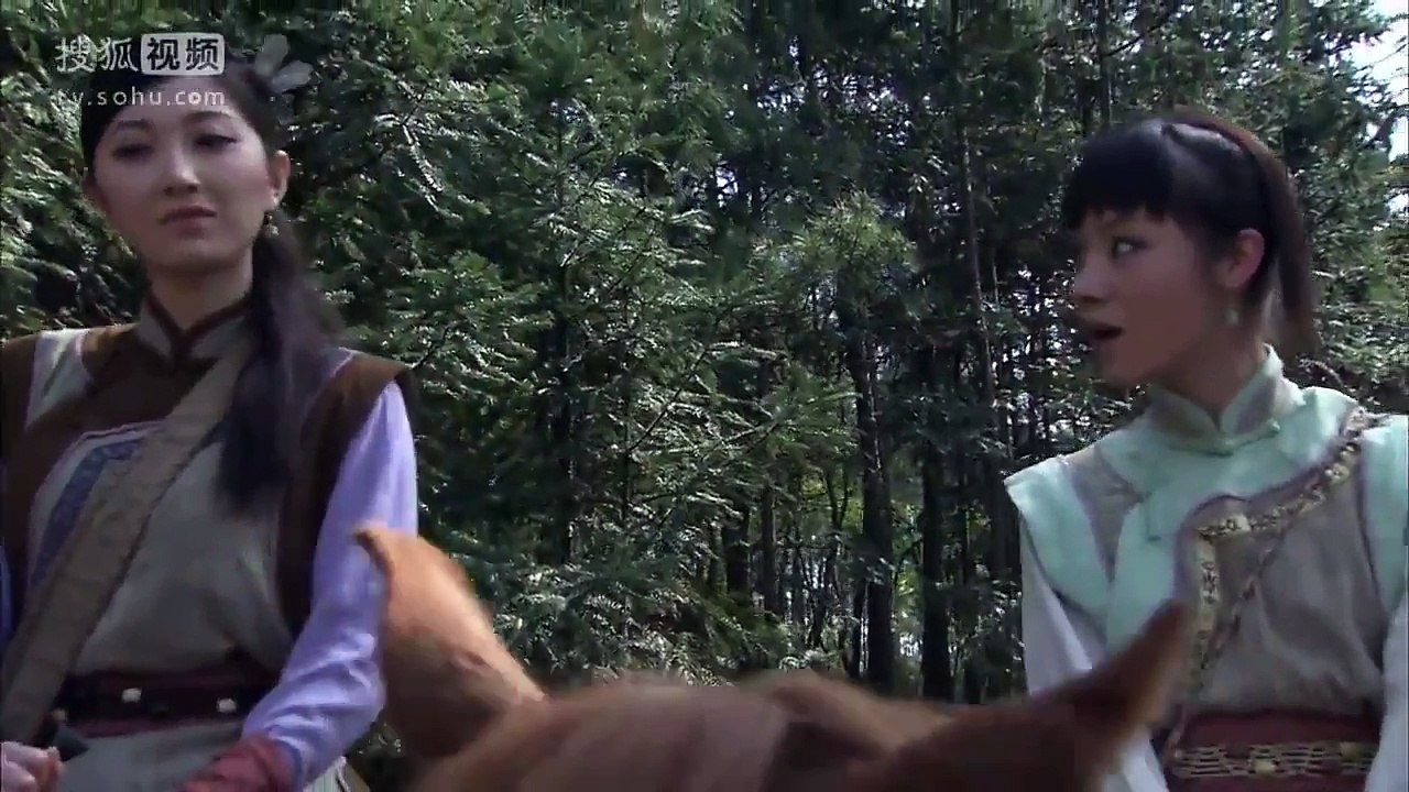 战争剧《白狼》04主演 宋佳 邵兵 常戎 吕平滢 金晶