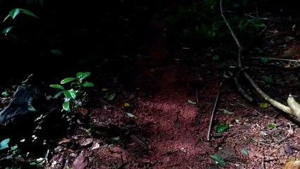 Paranormal Activity!! White Shadow Of Ghost Caught On Camera!!