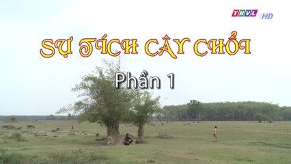 Sự tích cây chổi - Phần 1 | Cổ tích Việt Nam