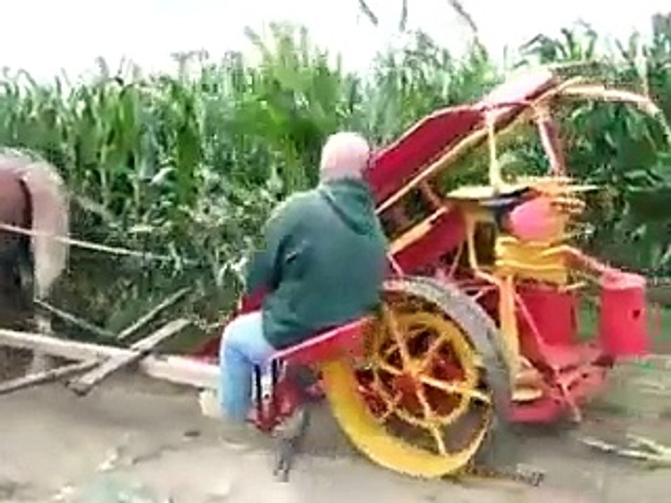Funny Home Video 22