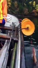 Un filet pour récupérer des dizaines de calamars