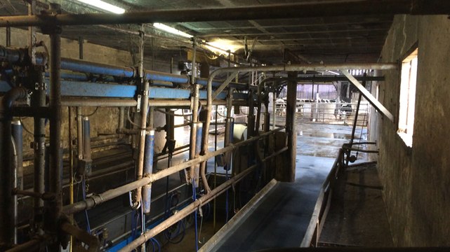 Série « La campagne en ville » à Quimper