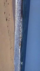 View of Dwarka Beach of Gujarat