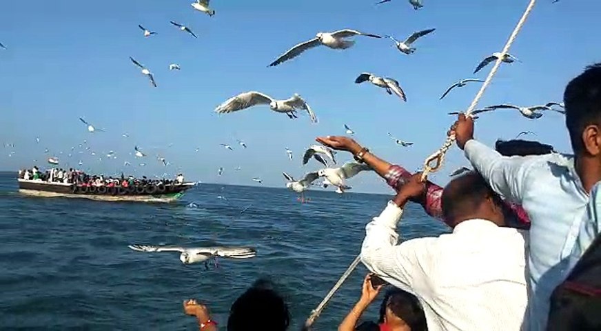 A view of Bet Dwarka (Island in India) Part 2