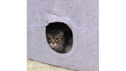 26 DESPERATE BUDGET HACKS TO ACTUALLY SAVE MONEY