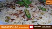 MAZEDAR GREEN PEAS PULAO | MATAR PULAO | JHAT PAT MATAR PULAO | ZAIQEDAR MATAR PULAO BY Urdu Recipe