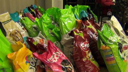 Sokak hayvanları için zumba yaptılar - BALIKESİR