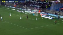 Montpellier 1-1 Lyon - les Buts - 04.03.2018