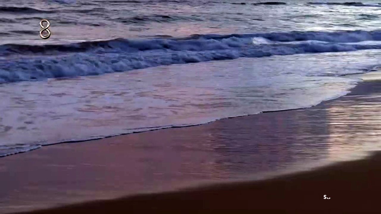 Surv part1