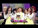 【TVPP】Apink - Be Ranked No.1, 에이핑크 - 음악중심 12월 첫째 주 1위 @ Show! Music Core Live