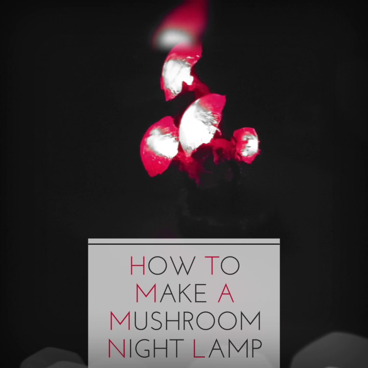 HOW TO MAKE A MUSHROOM NIGHT LAMP