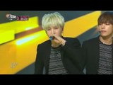 【TVPP】BTS - I NEED U, 방탄소년단 - 아이 니드 유 @2015 KMF