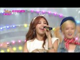 【TVPP】 Apink - Round and Round, 에이핑크 - 빙글빙글 @ Special stage, Show! Music core
