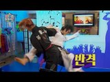 【TVPP】 Solji(EXID) - Self-defense Hapkido, 솔지 - 호신술 합기도 @ My little television