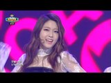 【TVPP】AOA - Like A Cat, 에이오에이 - 사뿐사뿐 @ Show Champion Live