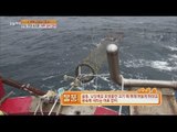 [Live Tonight] 생방송 오늘저녁 196회 - fishing Jeju 'cutlassfish' 은빛 전쟁 속으로! 제주 '갈치' 잡이  20150826