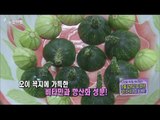 [Morning Show] Don't throw away 'Tip of vegetable'~  give way for Health! '꼭지' [생방송 오늘 아침]20151102