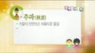 [Korean trip] Daily Correct Korean Information! Todays korean 오늘의 우리말 '추파'  20151102