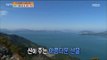 [Live Tonight] 생방송 오늘저녁 241회 - Tongyeong 'Saryang-do' 아름다운 섬! '통영 사량도' 20151102