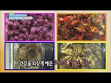 [Happyday] dried flowers unusual food reserves '이색적인 식재료,말린꽃' [기분 좋은 날] 20151104