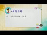 [Korean trip] Daily Correct Korean Information! Todays korean '복돋우다' 20151112