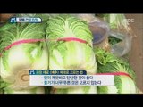 [Economy magazine M] 경제매거진 M - prepare kimchi for the winter 알뜰하게 김장하는 꿀Tip! 20151128