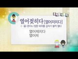 [Learn Korean] Daily Correct Korean Information! Todays korean '열어젖히다' 20160229