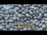 [Happyday] Effect of a black soybean 갱년기 완화에 도움주는 마법사 '00콩' [기분 좋은 날] 20160307