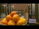 [Morning Show] 'Grilled Mandarin' honey and  mandarin 더욱 맛있게! '구운 귤' = 귤 + 꿀 [생방송 오늘 아침] 20151209