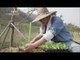 [Human Documentary People Is Good] 사람이 좋다 - Heo cham, living in the country 20160402