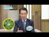 [Happyday] Let fly chronic fatigue medicinal herbs 'Ginseng' 만성피로 날리는 한약재 '인삼'[기분 좋은 날] 20150916