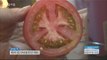 [Morning Show] Skin care : tomato pack  자외선 걱정 그만! 트러블 줄이는 '00 팩' [생방송 오늘 아침] 20160713