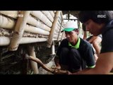 [MBC Documetary Special] - 청년들에게 유기농 농업을 가르치는 인도네시아 20161128