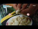 [Happyday] Garlic peel  꿀TIP, '마늘' 쉽게 까는 법! [기분 좋은 날] 20161201