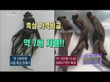 [Morning Show] Making 'Black ginseng'just in home '흑삼' 집에서 만드는 비법! [생방송 오늘 아침] 20151217