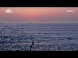 [MBC DMZ, THE WILD] - 엄격한 통제 속에 한시적으로 열리는 DMZ의 바다 20170626